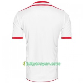 Billige Fotballdrakter Tunisia VM 2018 Hjemmedraktsett